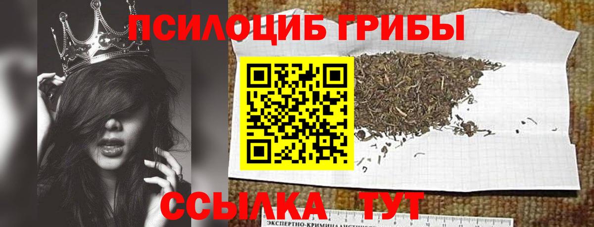 Галлюциногенные грибы GOLDEN TEACHER Мыски