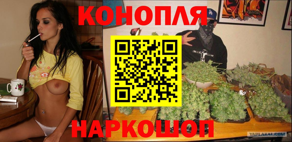 Бошки марихуана Ganja  Вход с VPN  Конопля AK-47  Мыски  Бошки марихуана гибрид  Канабис гибрид 